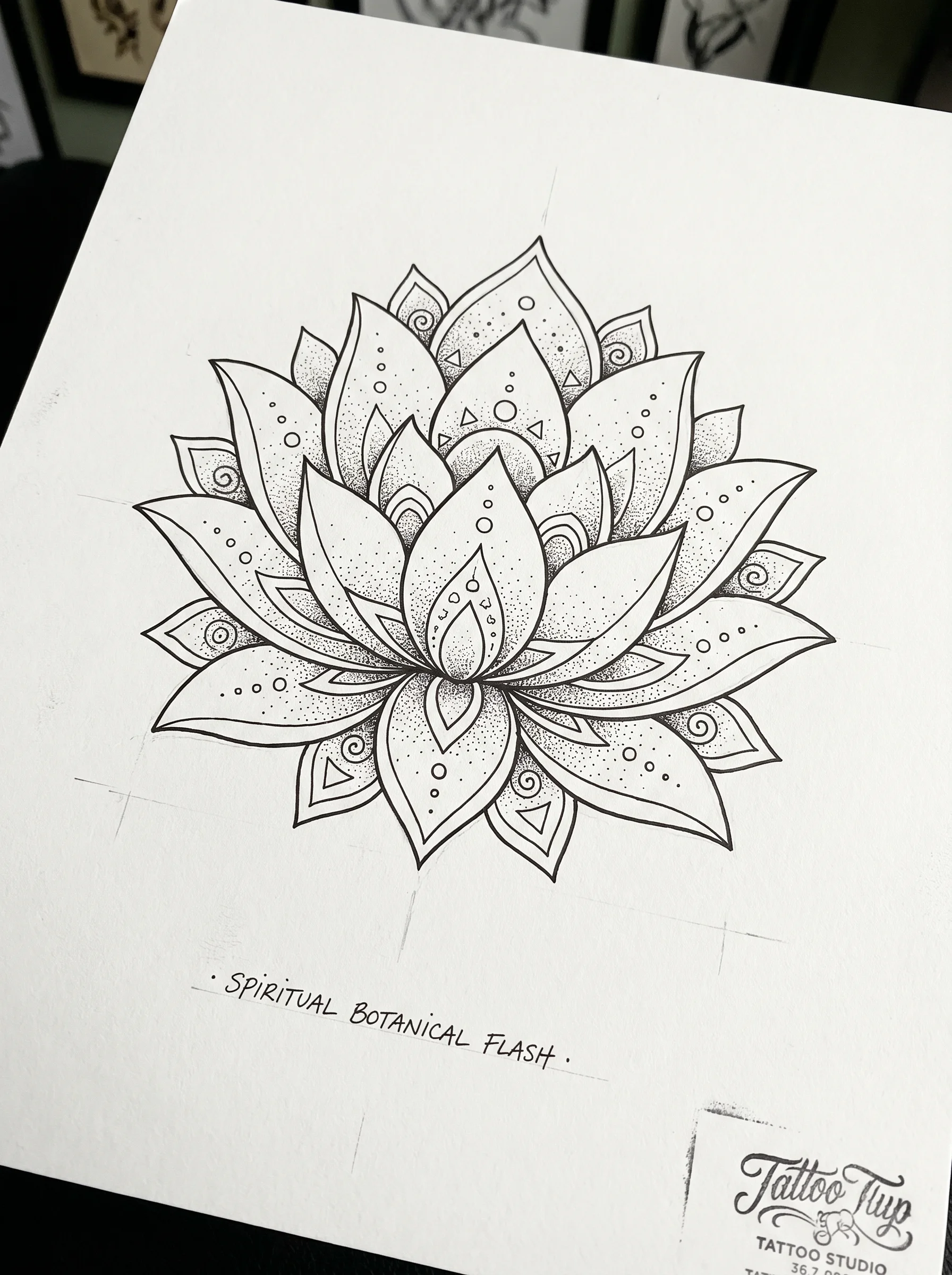 Lotus spiritual